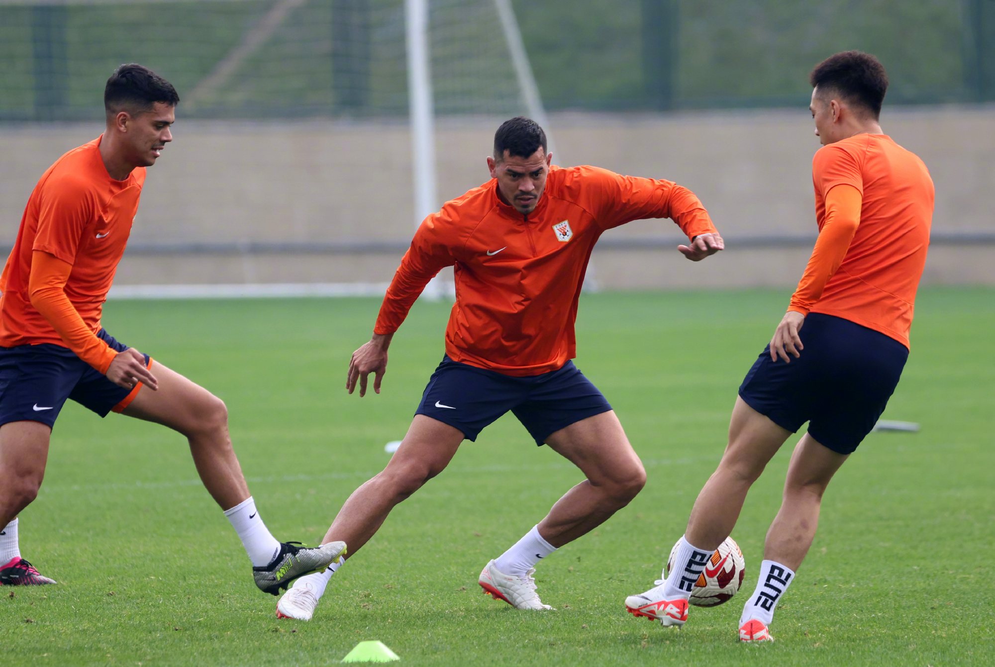 金年会h5-关于里尔迎欧冠关键赛，赛前远射贴柱，悬念犹存，阵容厚度经受考验的信息